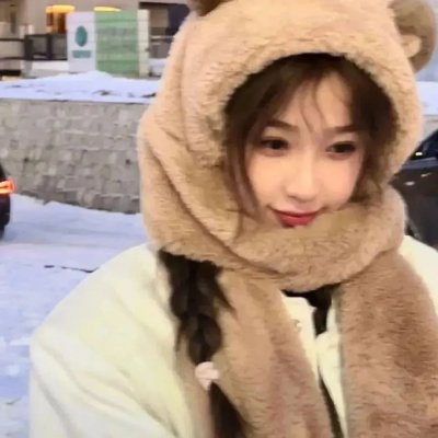 双生赤狐 在线观看