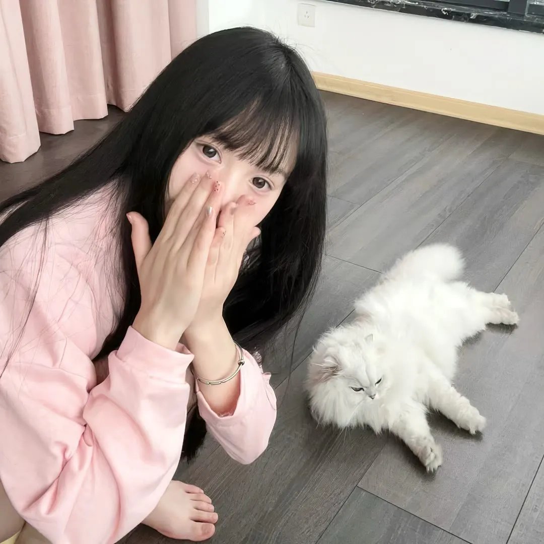 香格里拉下雪了吗 在线观看